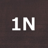 1N