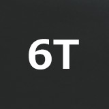 6T