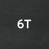 6T