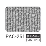 PAC-251