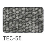 TEC-55